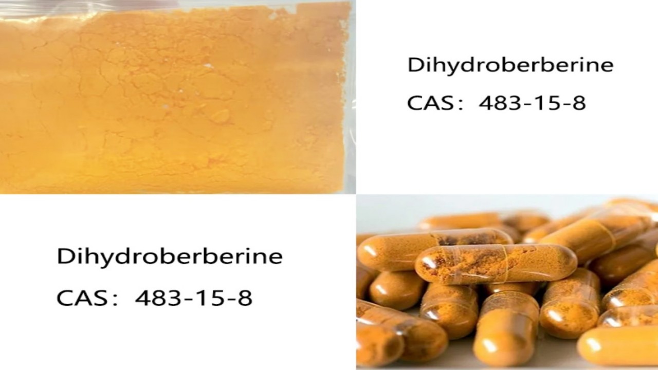 How Dihydroberberine Supports Weight Loss and Fat Metabolism