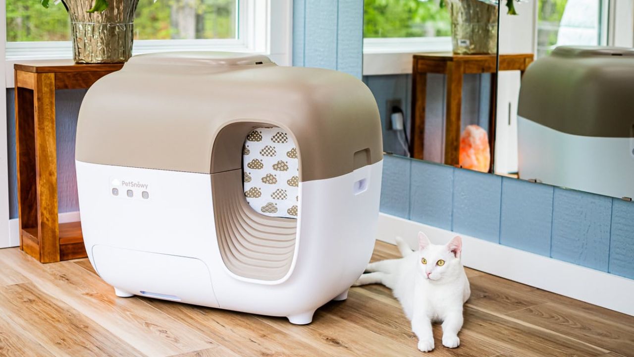 The Best Smart Litter Box Features to Look for in 2025